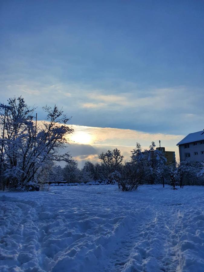 Wohnung Im Schwarzwald Mit Panorama Blick Kleines Wiesental Exterior foto